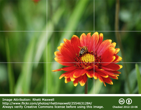 The Rule of Thirds in Photography - Photography Incyder Info