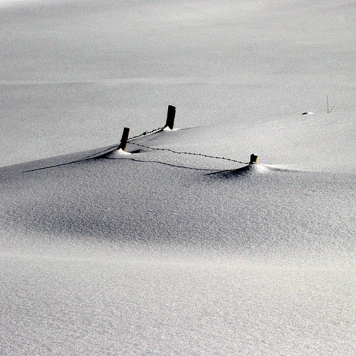 A snow photograph that is slightly underexposed yet the atmosphere this produces is beautiful