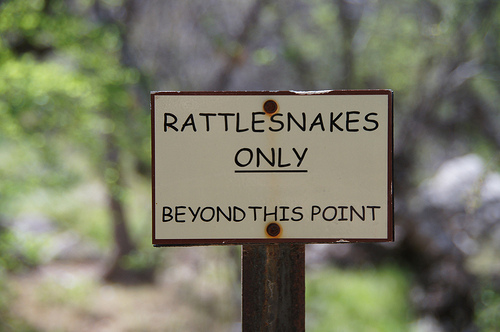 The sign reads "Rattlesnakes only beyond this point".
